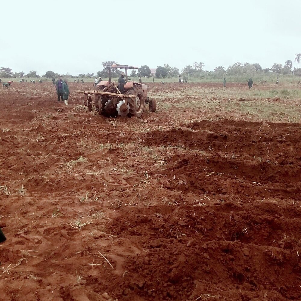 Farm field being prepared for cultivation on a PRIMERAD-style Nigerian farm